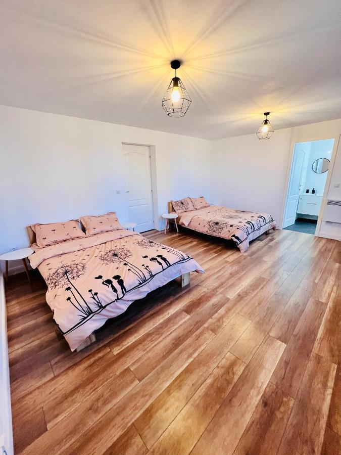 Master Adventure Guest House Vadu Crisului Εξωτερικό φωτογραφία